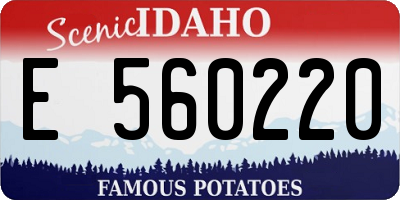 ID license plate E560220