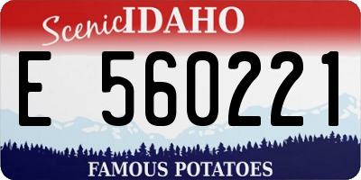 ID license plate E560221