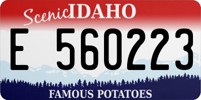 ID license plate E560223