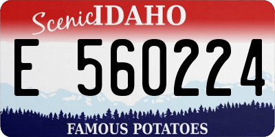 ID license plate E560224