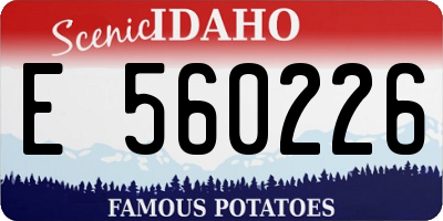 ID license plate E560226
