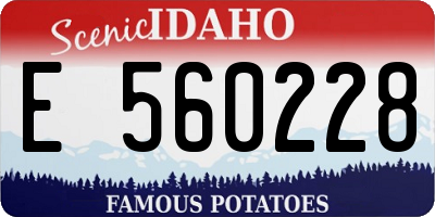 ID license plate E560228
