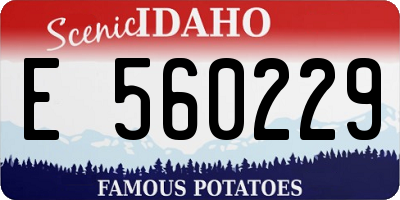 ID license plate E560229