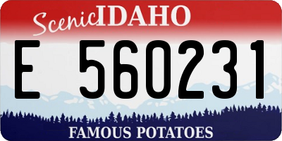 ID license plate E560231