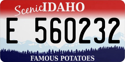ID license plate E560232