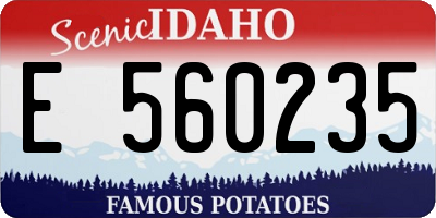 ID license plate E560235
