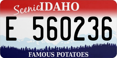 ID license plate E560236