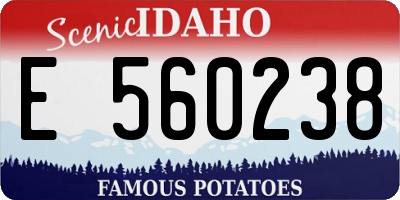 ID license plate E560238
