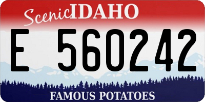 ID license plate E560242