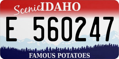 ID license plate E560247