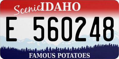 ID license plate E560248