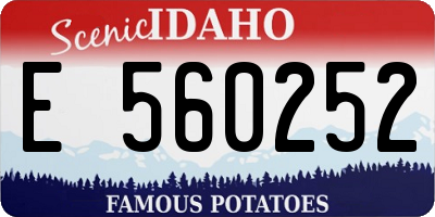 ID license plate E560252