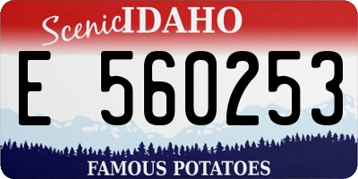 ID license plate E560253