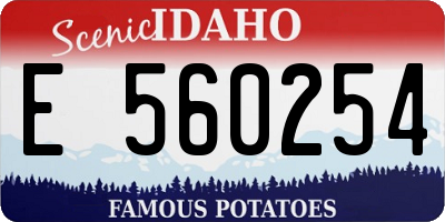 ID license plate E560254