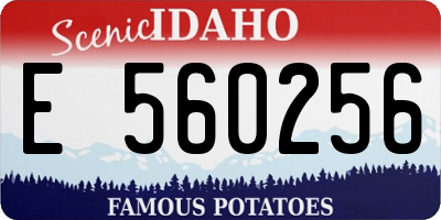 ID license plate E560256
