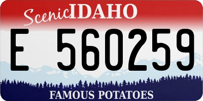 ID license plate E560259