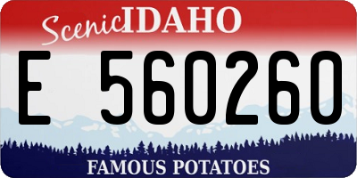 ID license plate E560260