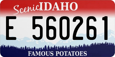 ID license plate E560261