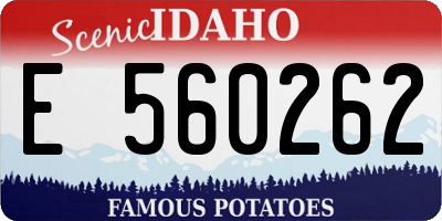 ID license plate E560262