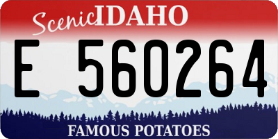 ID license plate E560264