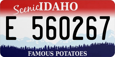 ID license plate E560267