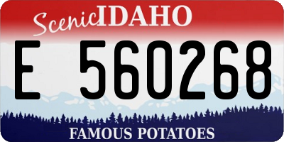 ID license plate E560268