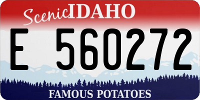 ID license plate E560272