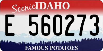 ID license plate E560273