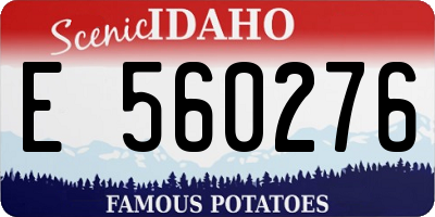 ID license plate E560276