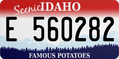 ID license plate E560282