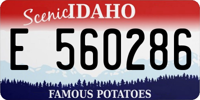 ID license plate E560286