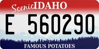 ID license plate E560290