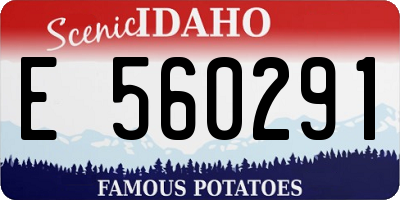 ID license plate E560291