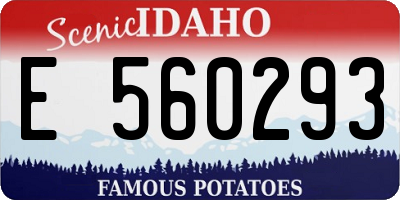 ID license plate E560293