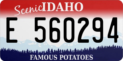 ID license plate E560294