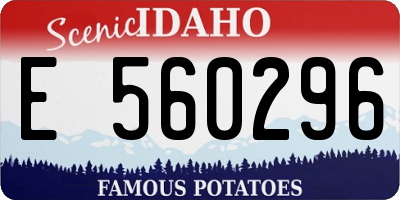 ID license plate E560296