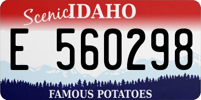 ID license plate E560298