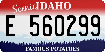 ID license plate E560299