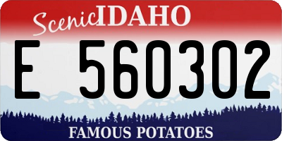 ID license plate E560302