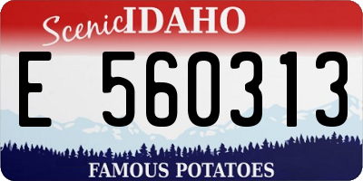 ID license plate E560313