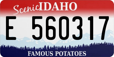 ID license plate E560317