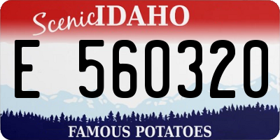 ID license plate E560320