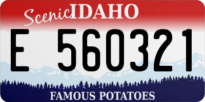 ID license plate E560321