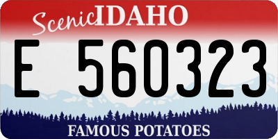 ID license plate E560323