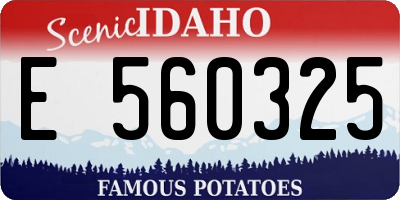 ID license plate E560325