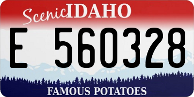 ID license plate E560328