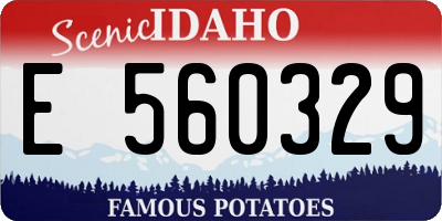 ID license plate E560329