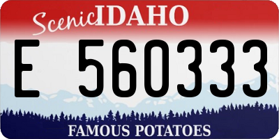 ID license plate E560333