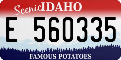 ID license plate E560335