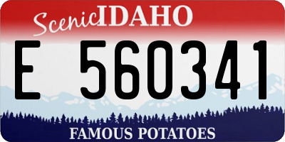ID license plate E560341